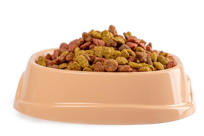 A picture of some dog food in a bowl.